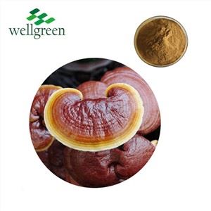 Polisacharyd Ganoderma Lucidum