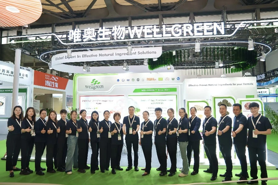 Wellgreen Team Wellgreen Team